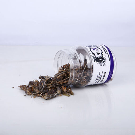 Lavender Flower (Morocco) - الخزامى/لافندر - Image 2