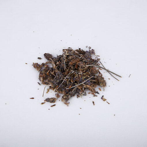 Lavender Flower (Morocco) - الخزامى/لافندر - Image 3
