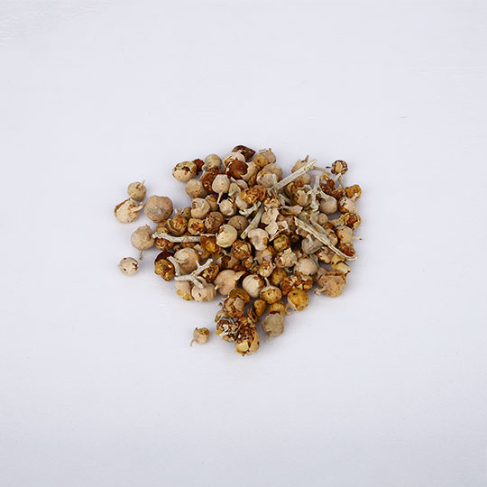 Paneer Dodi - بانير دودي - Image 3