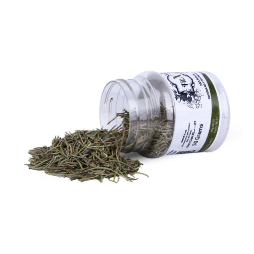Rosemary - إكليل الجبل - Image 3