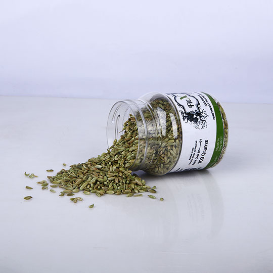 Fennel / Saunf - الشمرة - Image 2