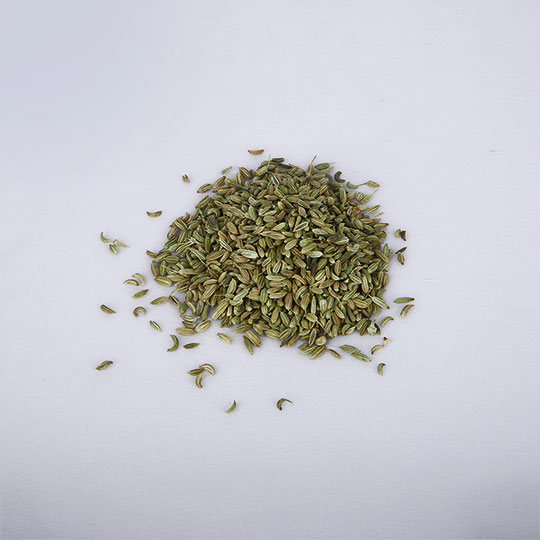 Fennel / Saunf - الشمرة - Image 3