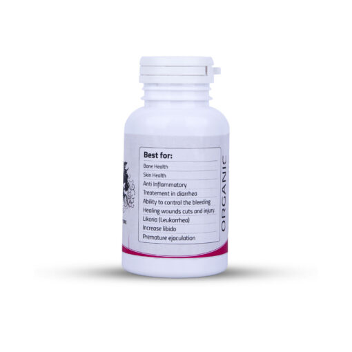 FitX Women Capsules - Image 3